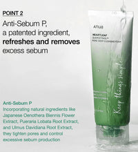 Daily skincare routine with ANUA Heartleaf Quercetinol Cleansing Foam